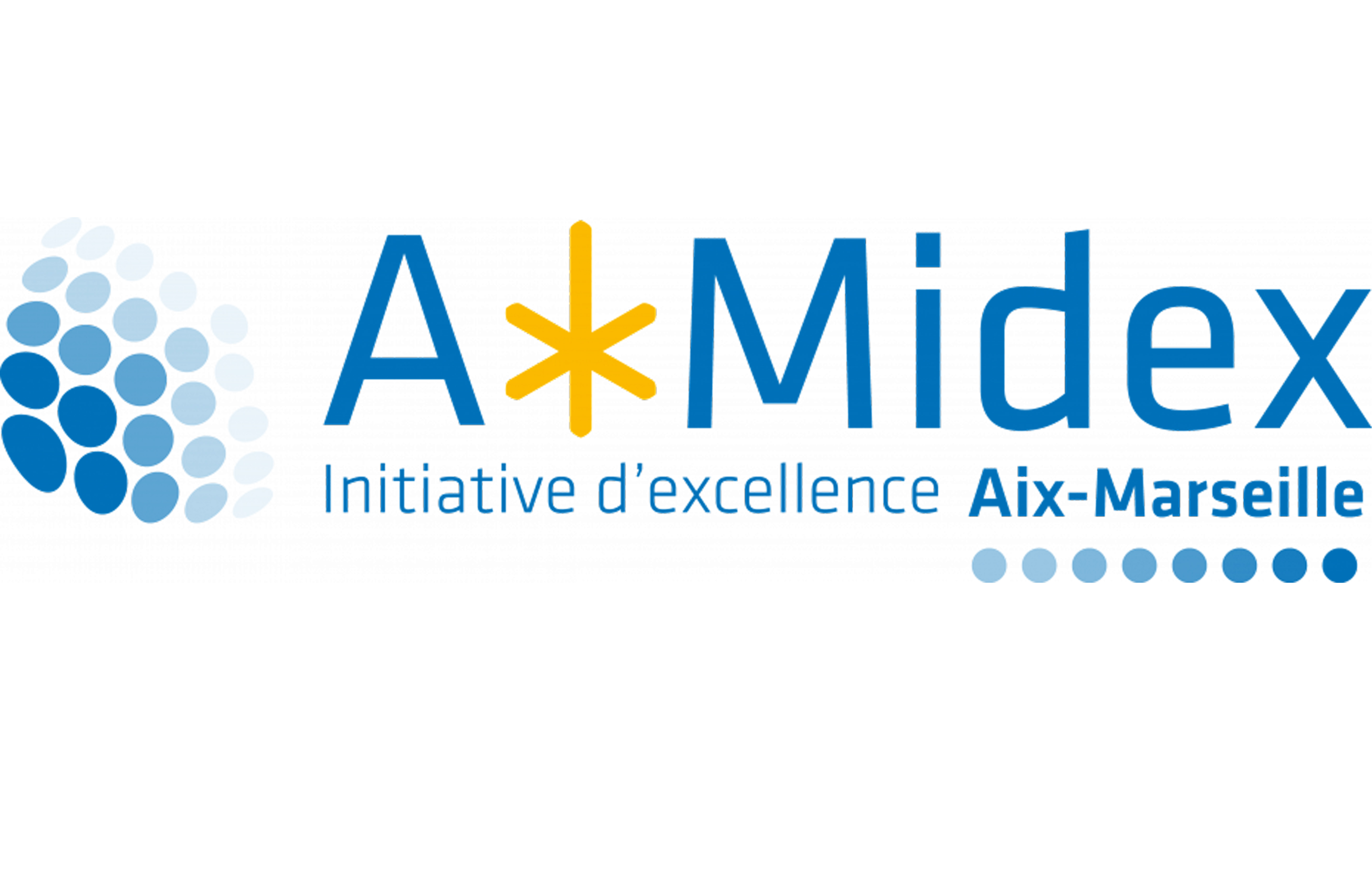 Amidex Logo